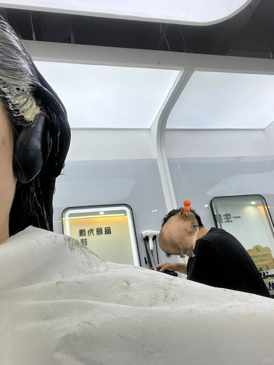 关于理发店一直有一个疑问