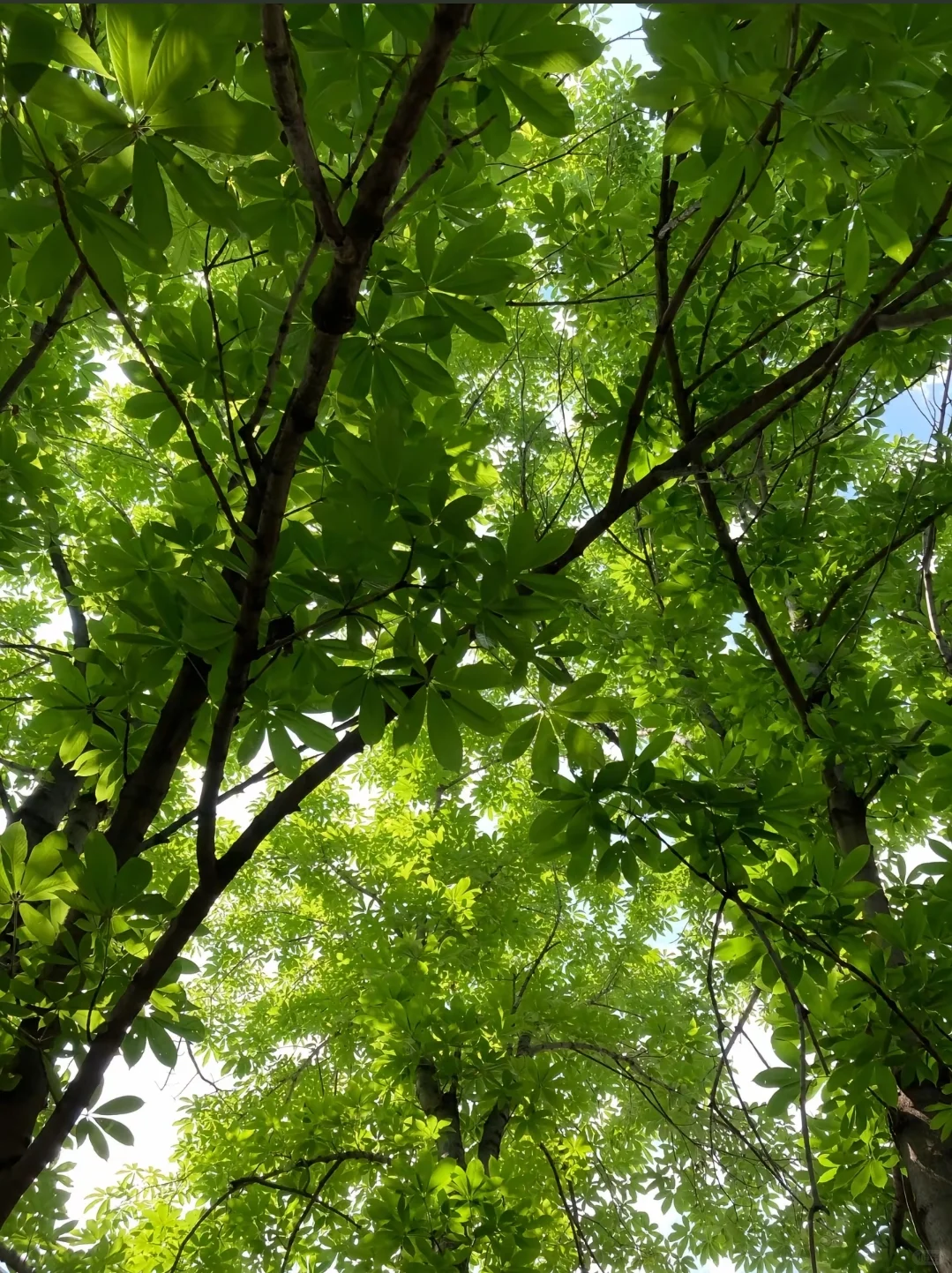 女性该不该穿衣自由