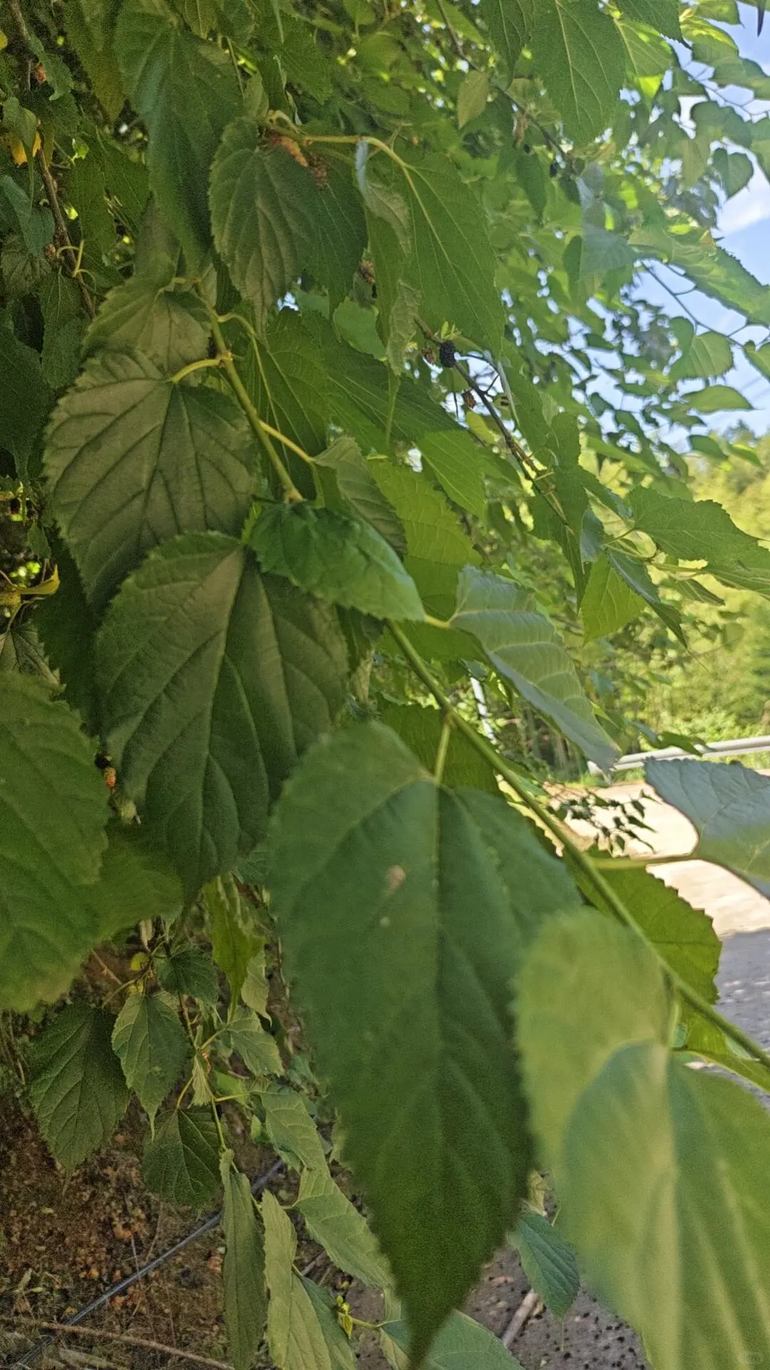 45岁 才不是人生下坡路的起点！