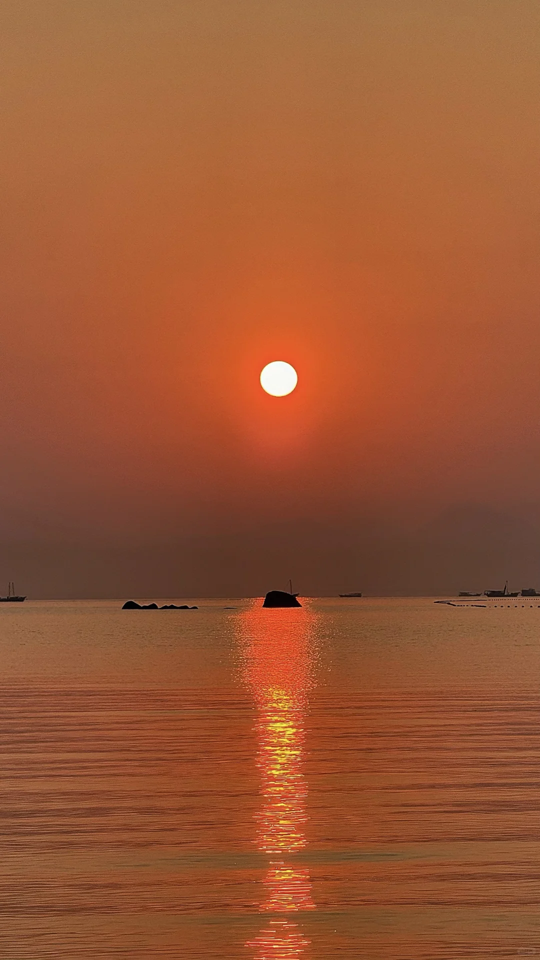 橘子味的海☀️｜太好拍啦！！