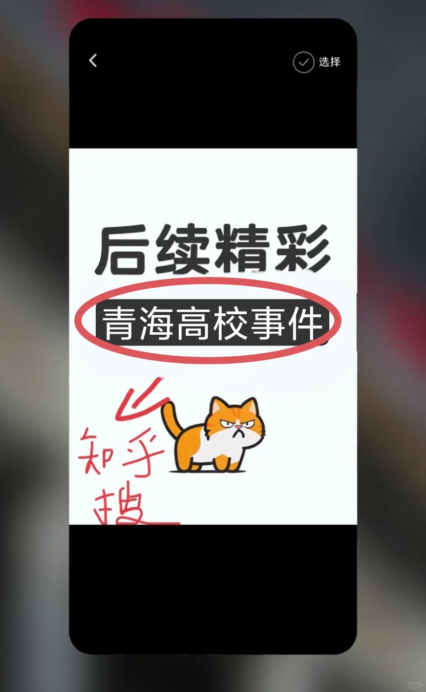 校园风波再起……