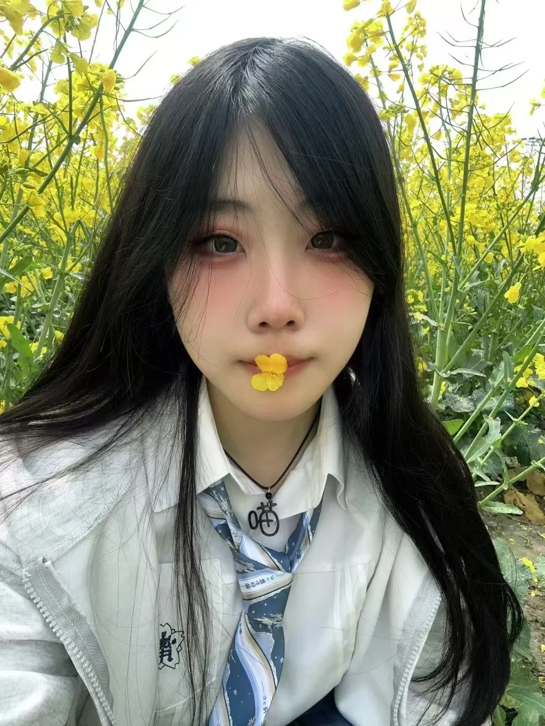 少女的油菜花