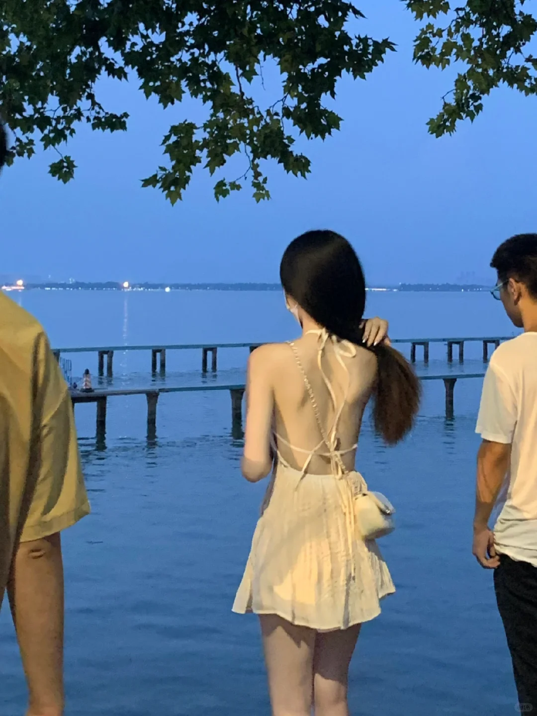 这些网图都是我…