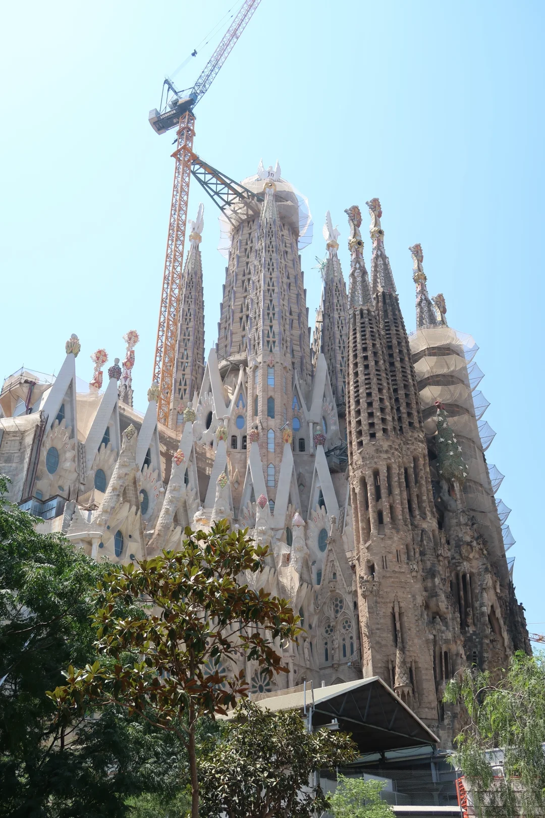 🇪🇸Barcelona｜包不敢发pyq的