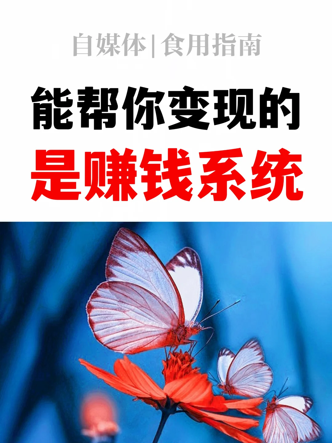 不是做自媒体，而是建立你自己的赚钱系统