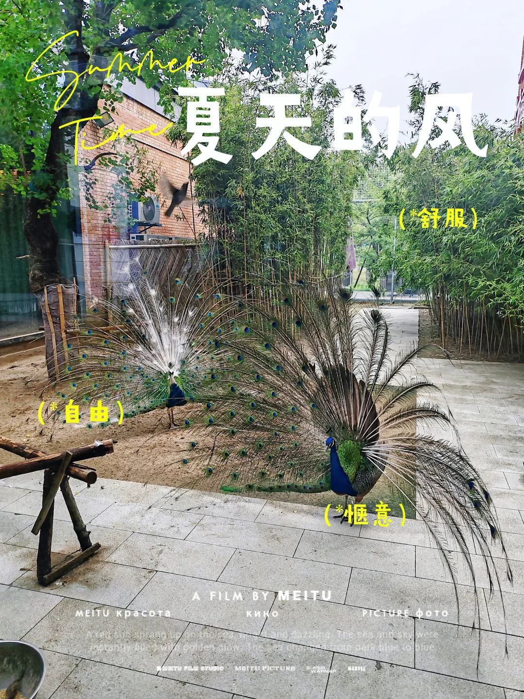 杀破狼本命姐本身就是致命女人
