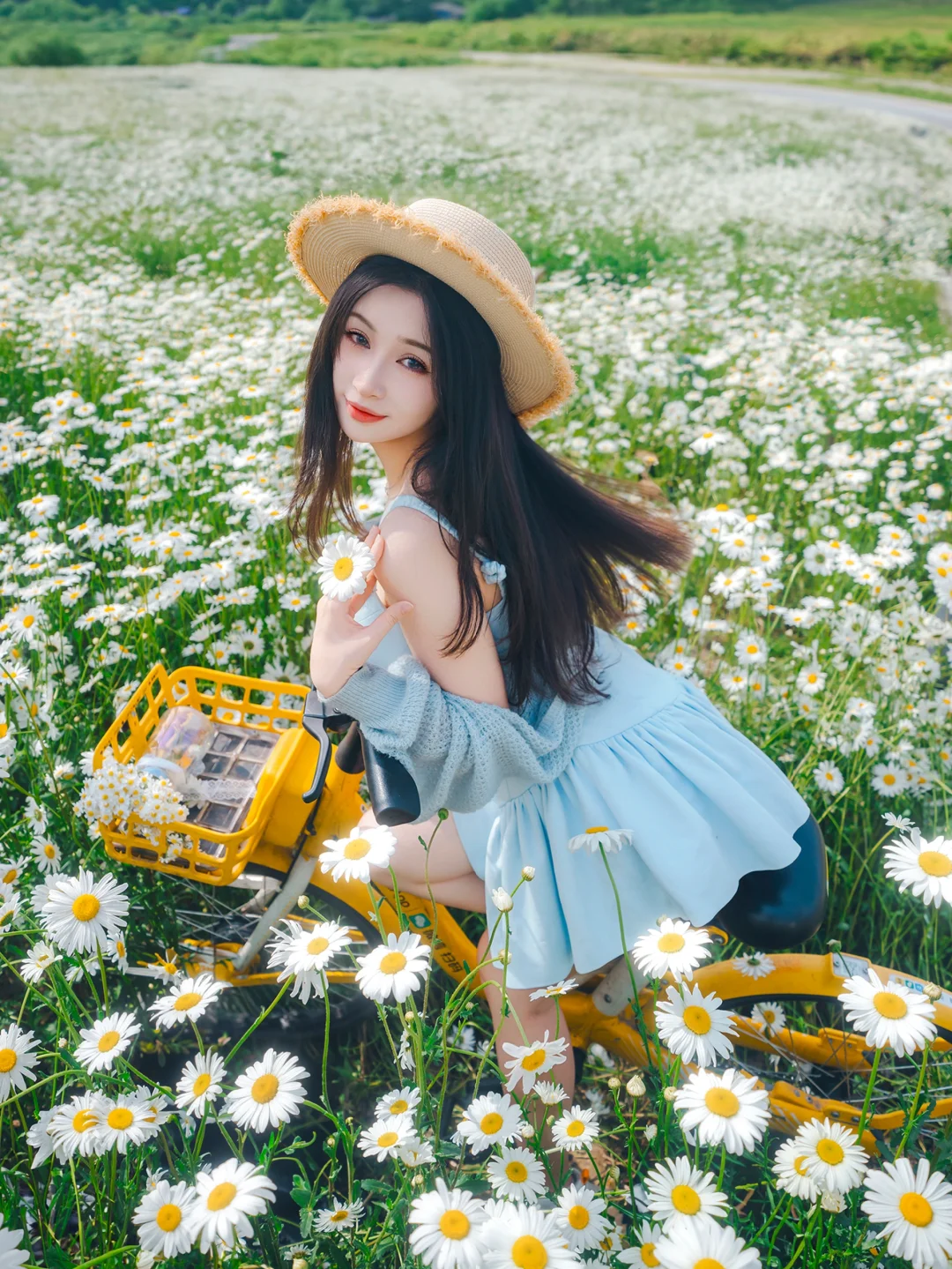 春天影像诗 |“一不小心闯进小雏菊秘境”