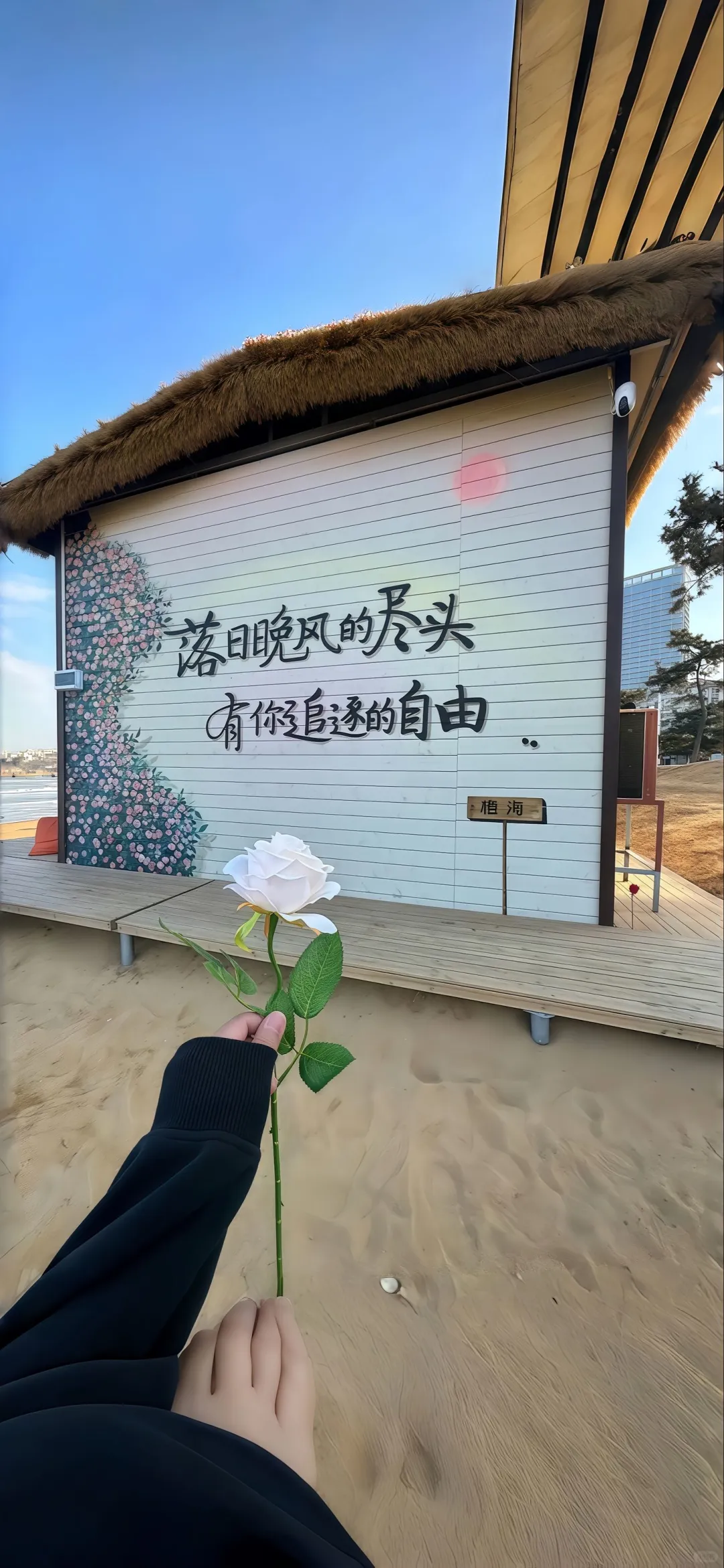 2025强推最新壁纸