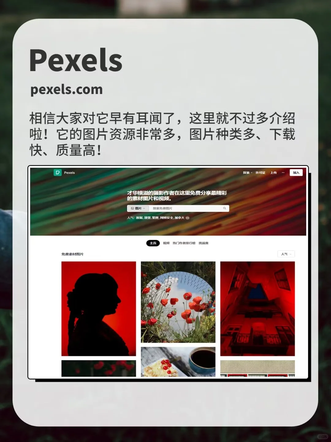 白嫖党超爱❗️八个免费无版权图片网站❗️