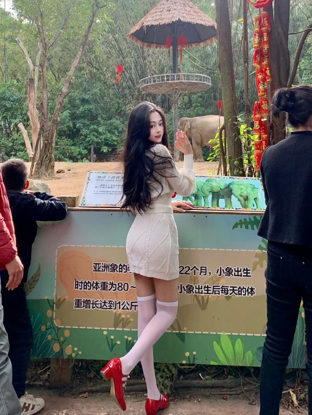 生命力美人图谱01