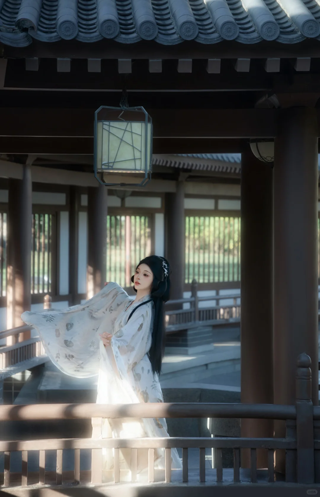 “出淤泥怎能不染呢”｜西安拍照