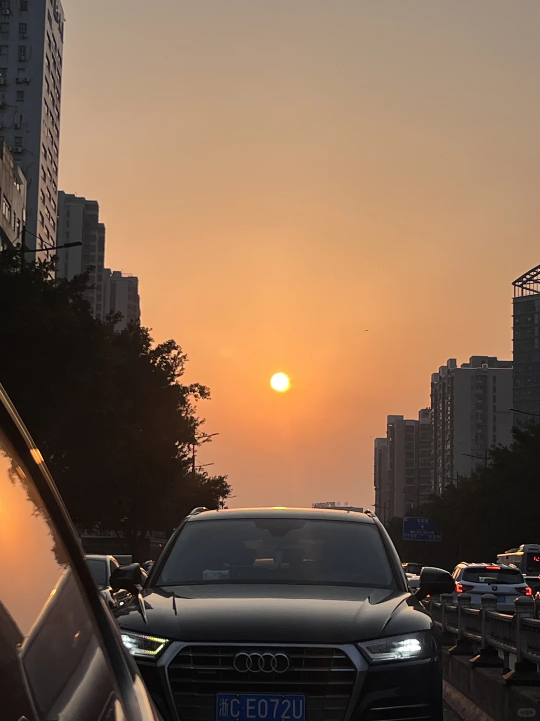 今日份打工人丸子头🍡