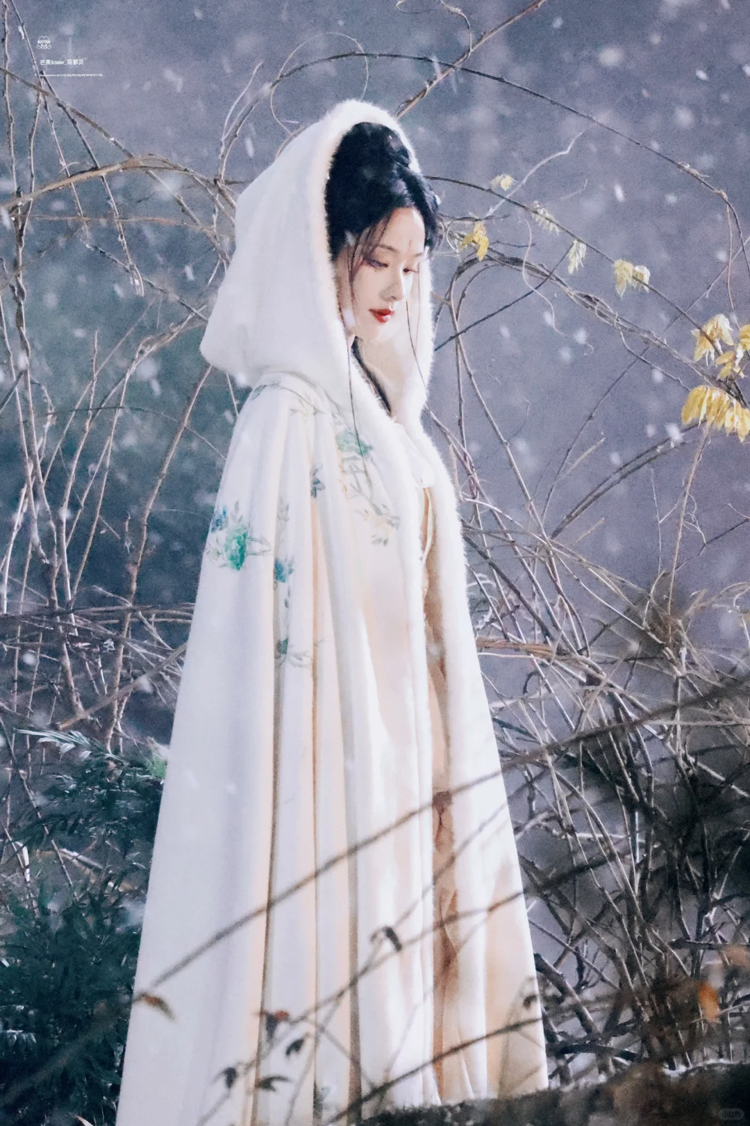 雾妄言壁纸-陈都灵
