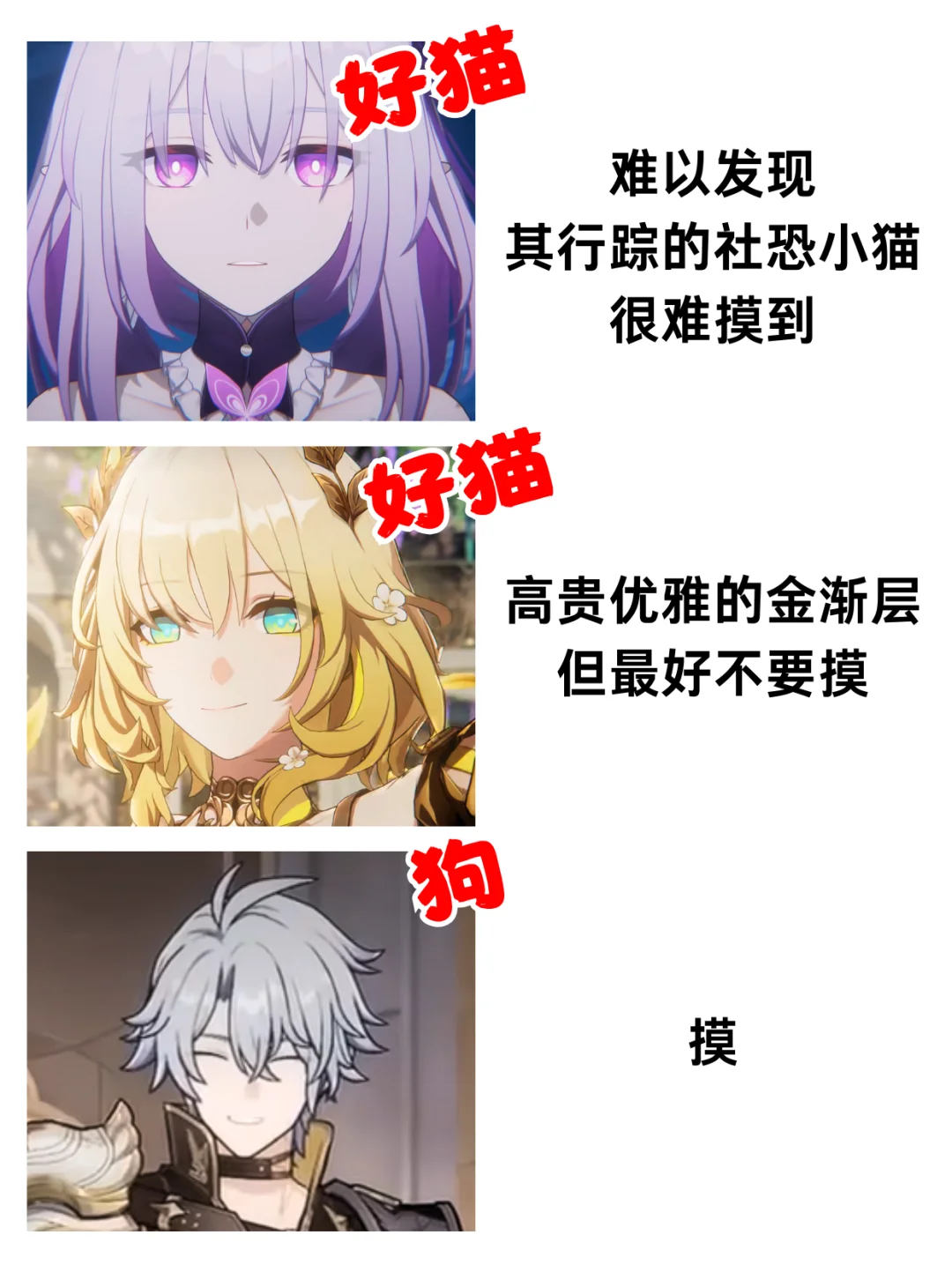 翁法罗斯摸猫指南！