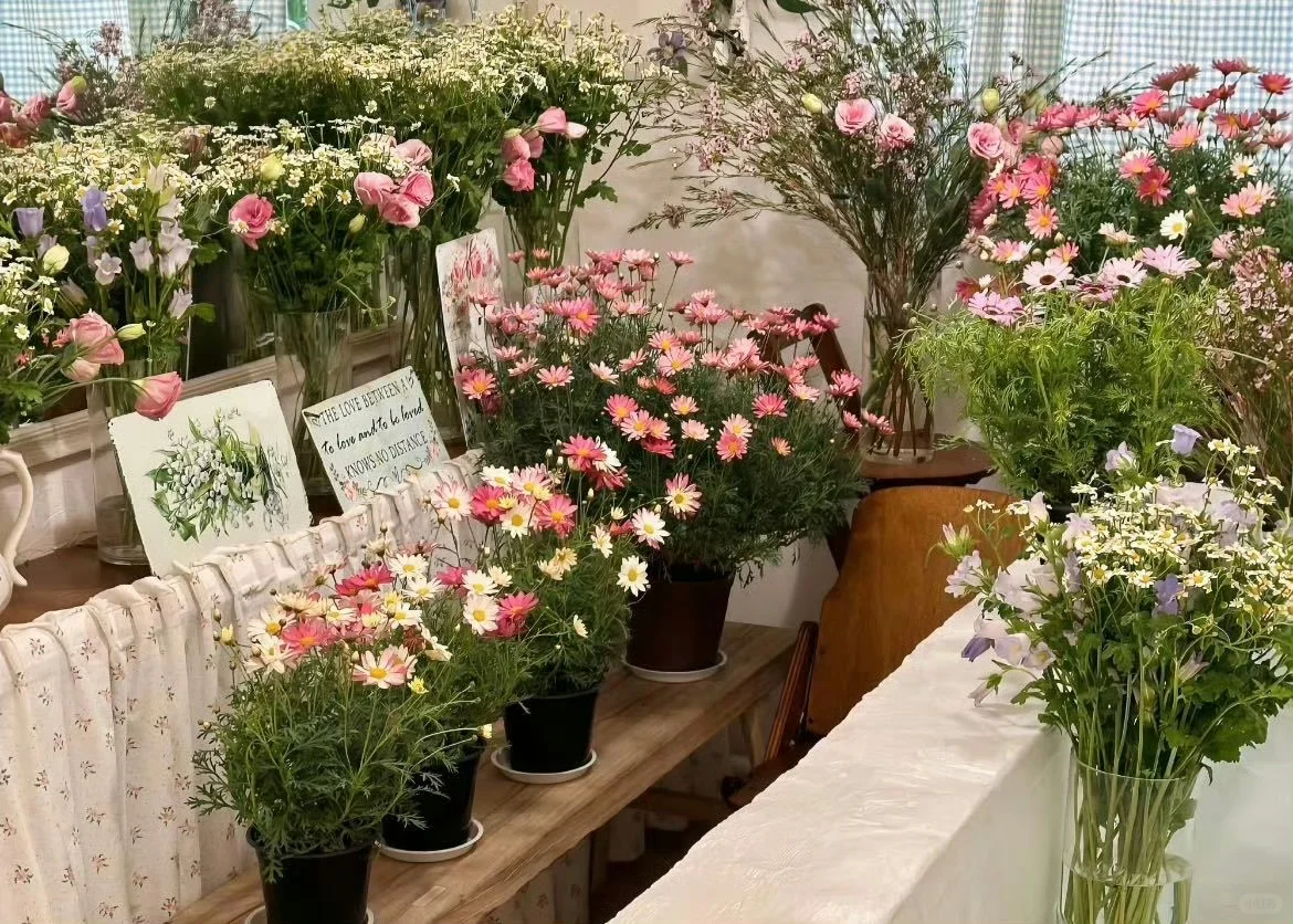 生命力⭐️平板壁纸💐💐
