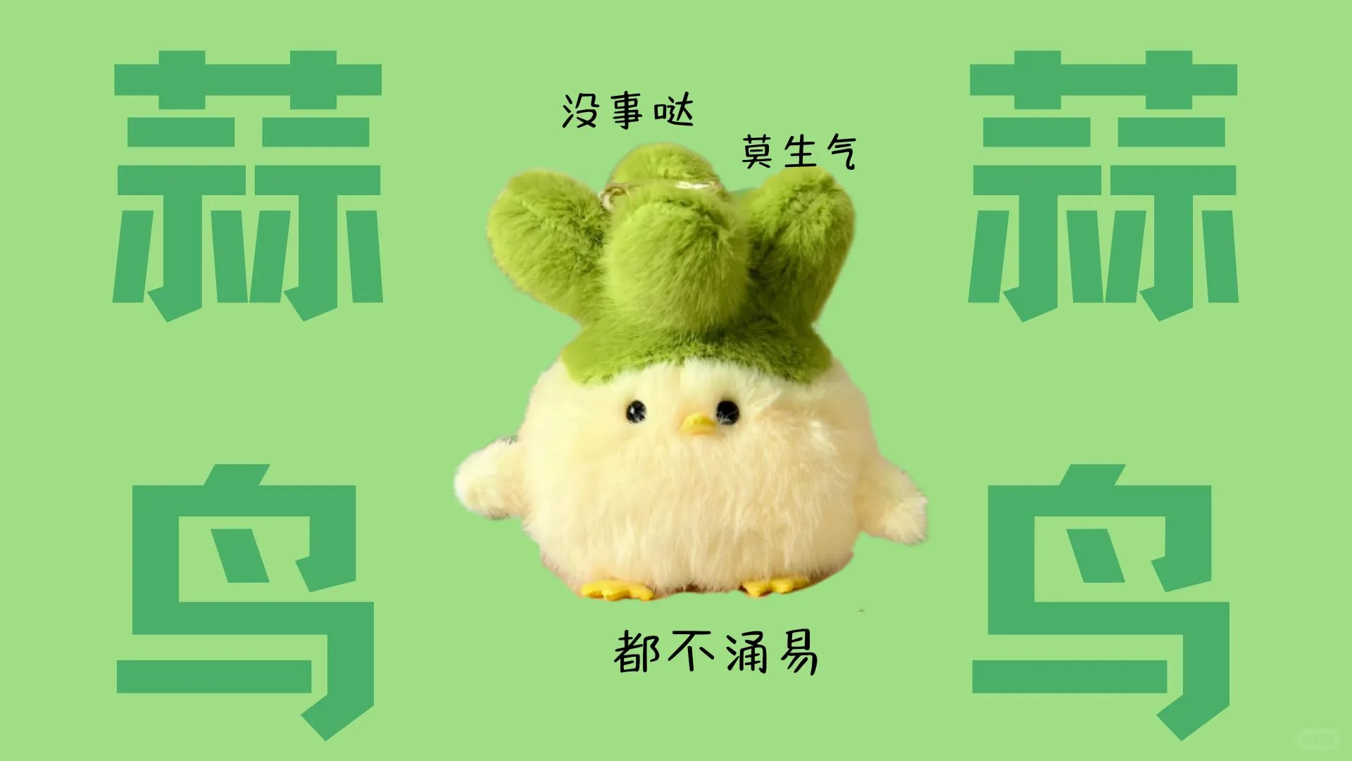5.1节后第一天同事已经换上“蒜鸟🐦”壁纸‼️