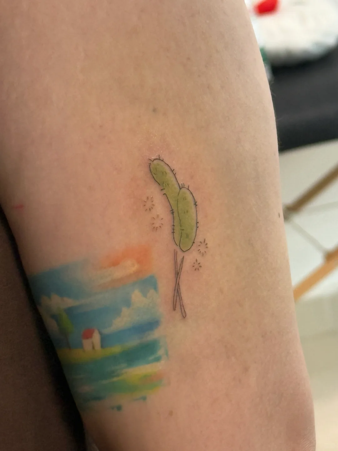 狗尾巴草🌿