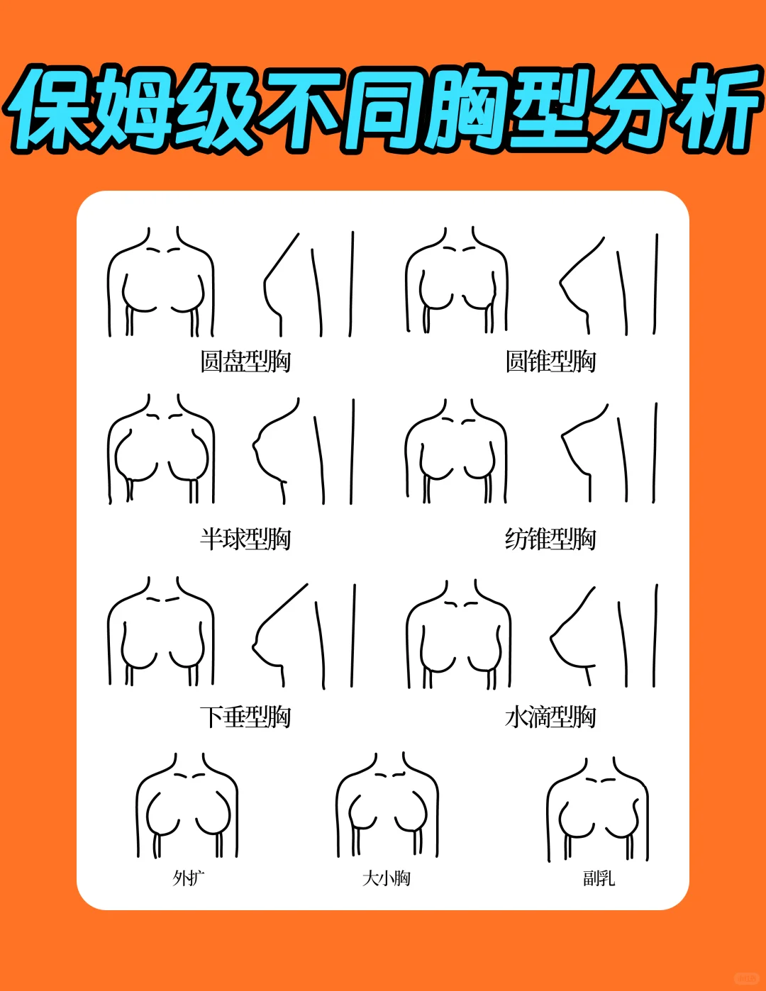 胸型分析，快来看看👀呢斯属于哪一种！