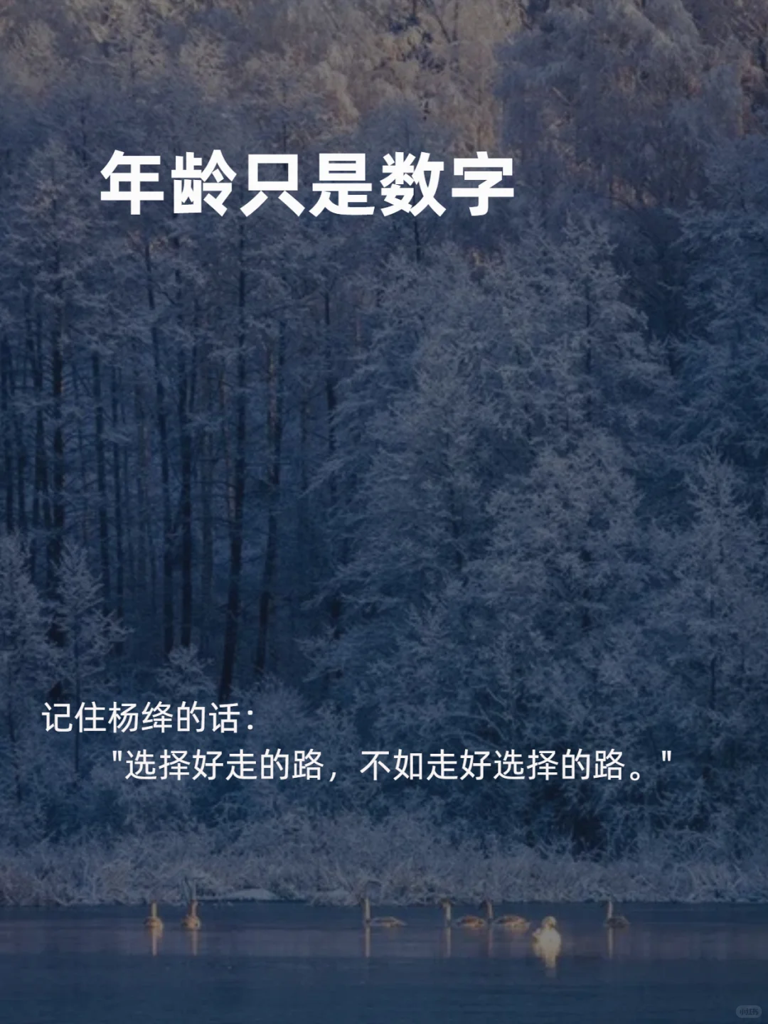杨绛语录：真正好命的女人都这样做"