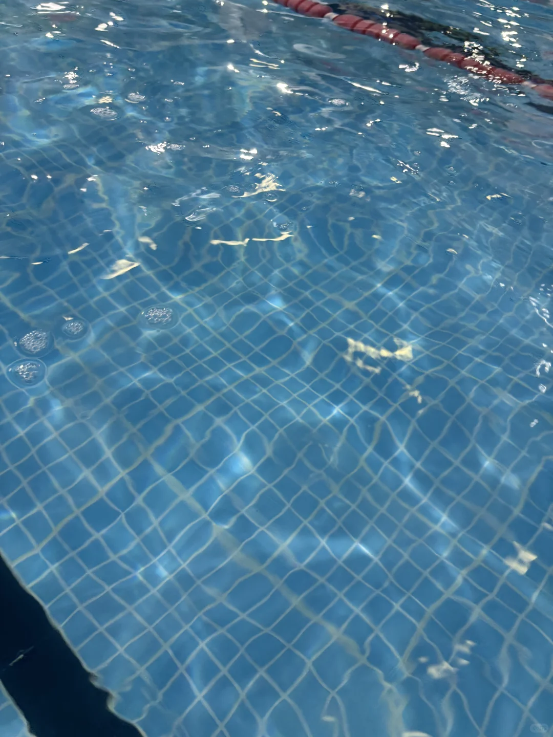 游泳使我快乐