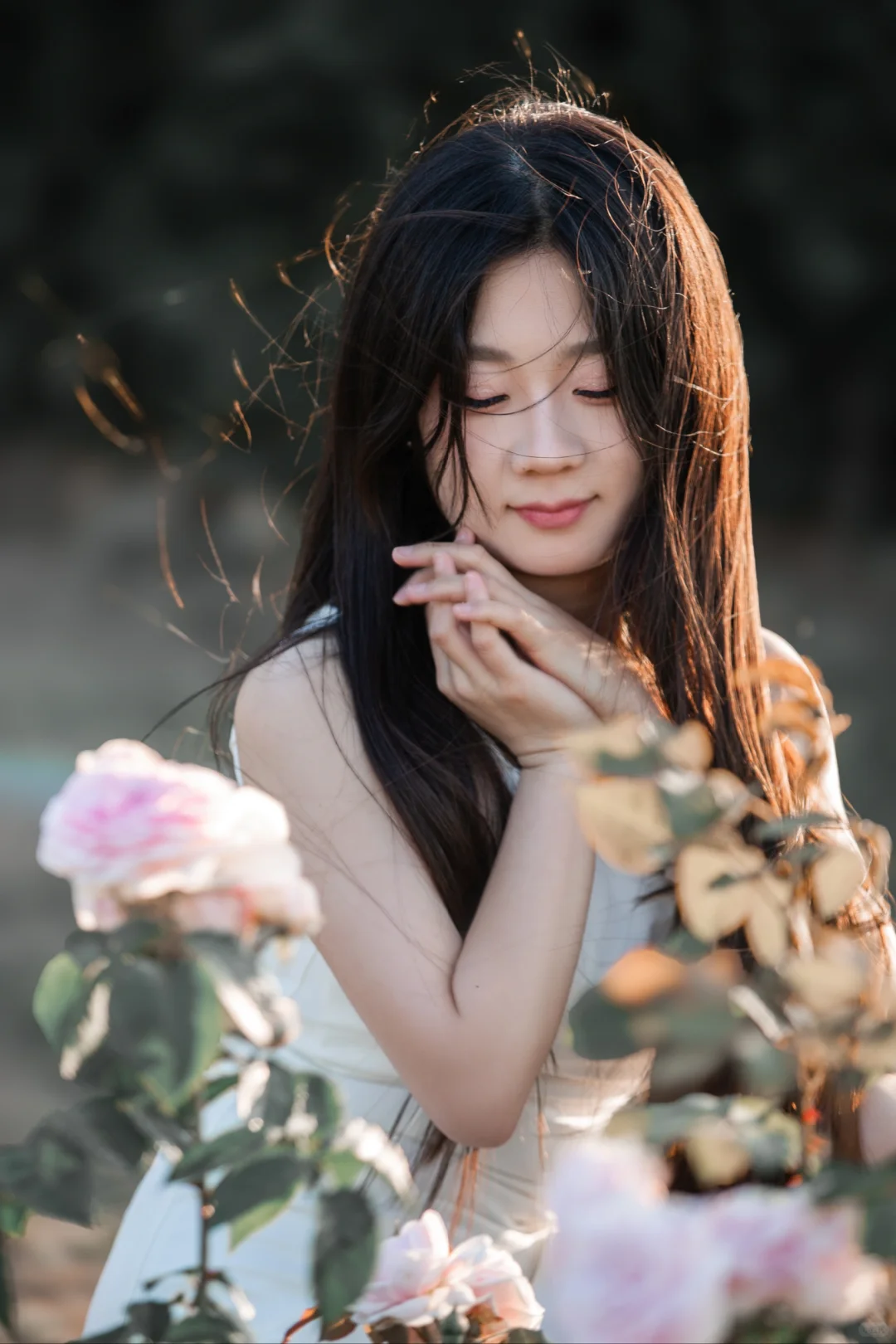 摄影摆摊美女多多……