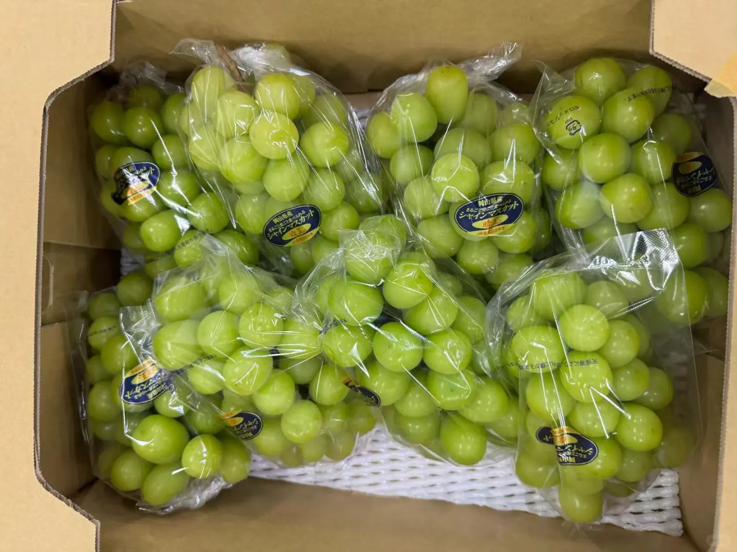 🍇 冈山晴王｜葡萄界的天花板！