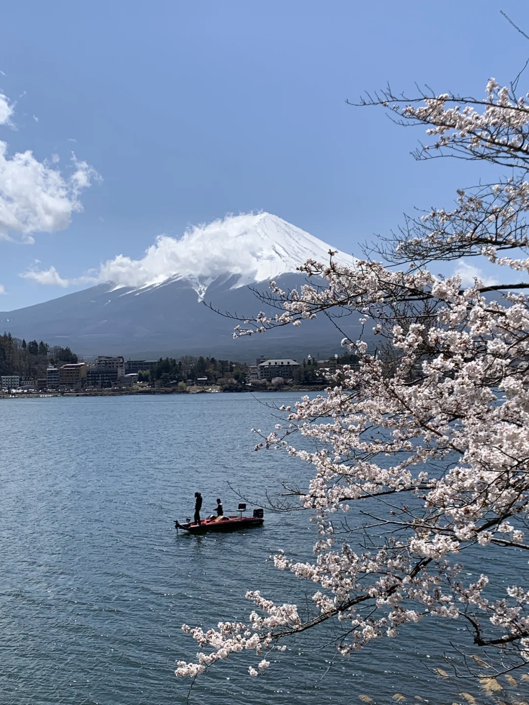 🗻富士山下♪ ╰🦢