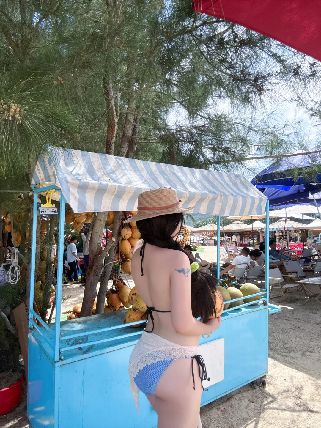 海滩、椰子和👙🌊🌴🏖️