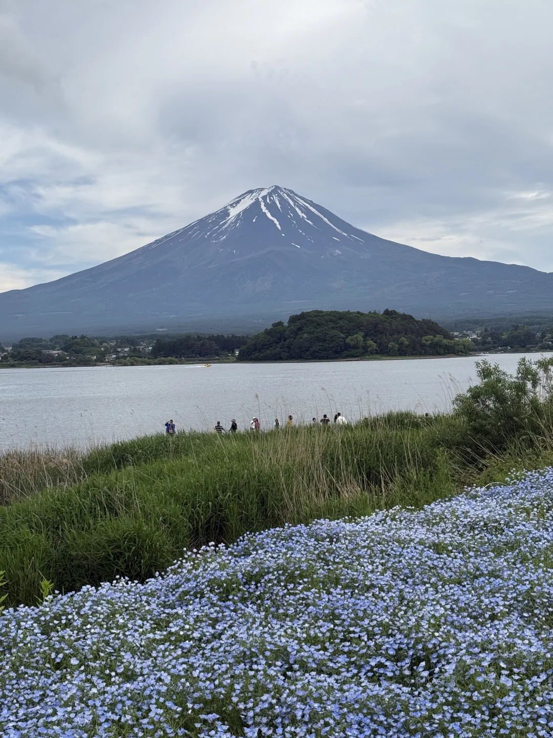 富士山耶