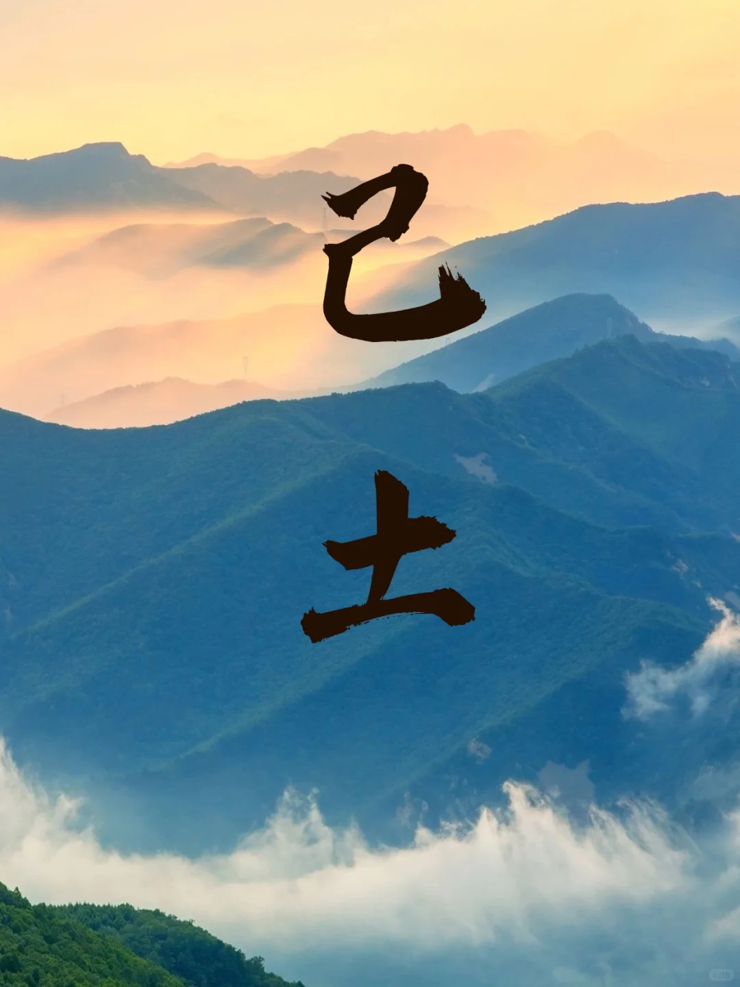 己土女都是神仙颜值