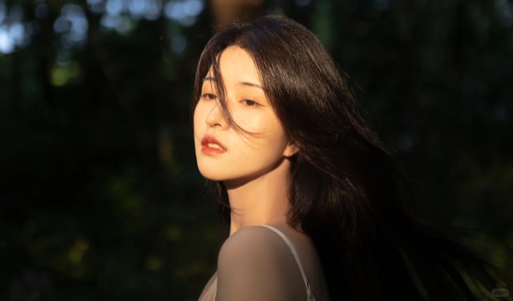 森｜暗调情绪