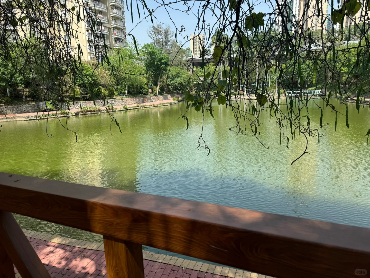 重返校园 今天是女大学生