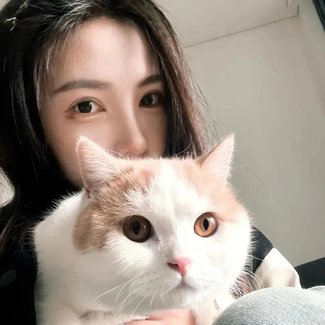 好喜欢这组鸭。😘