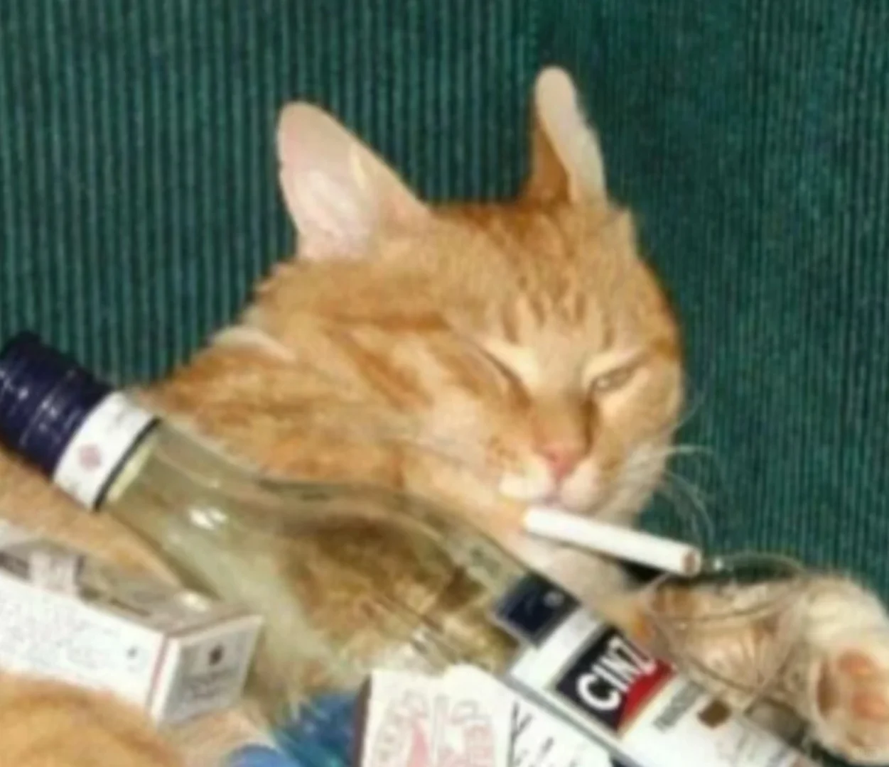 社会没有教过女宝的打猎技巧04