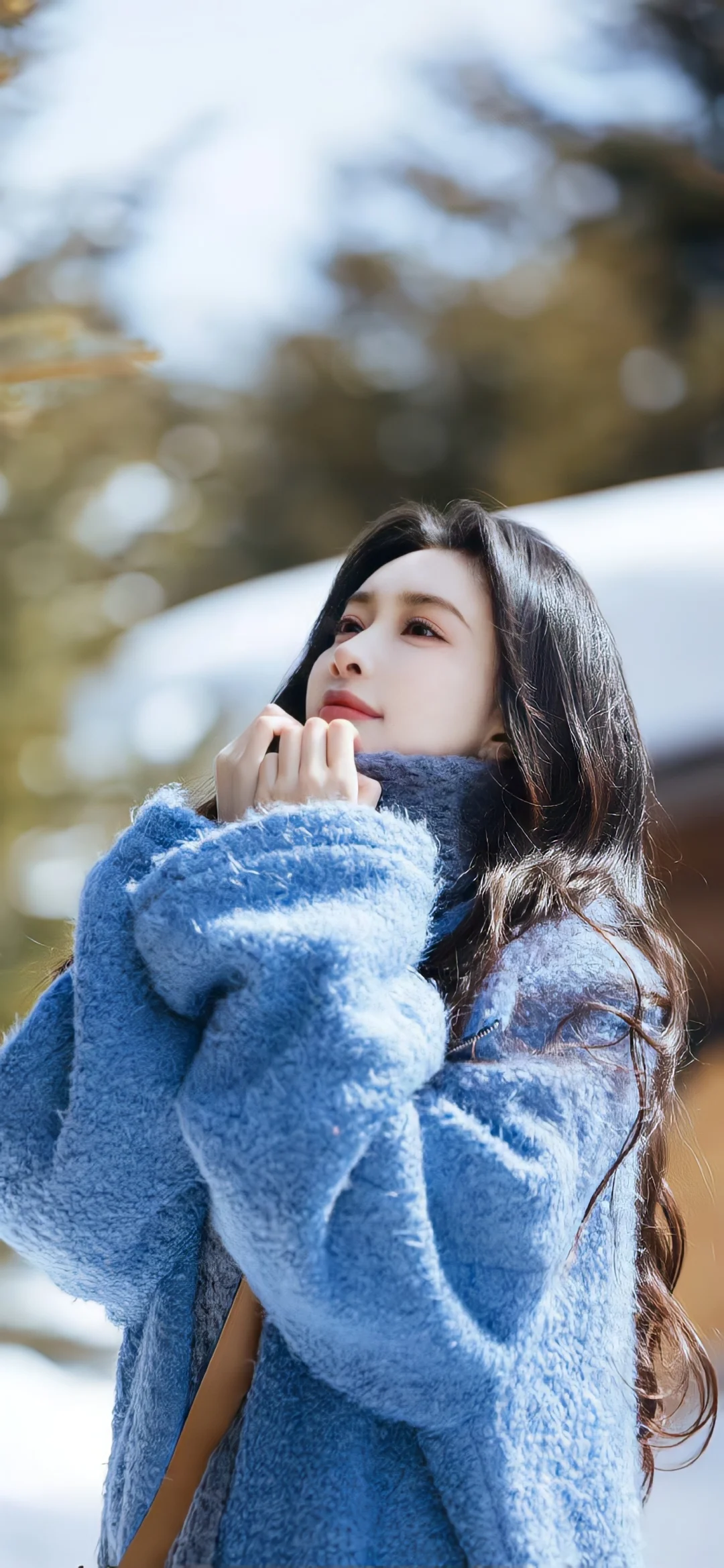 孟子义壁纸 大放送💕