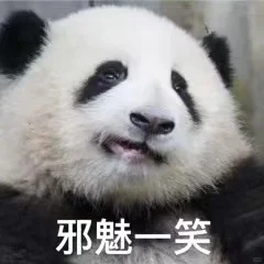 14年书龄小说推荐～拒绝文笔差或剧情差