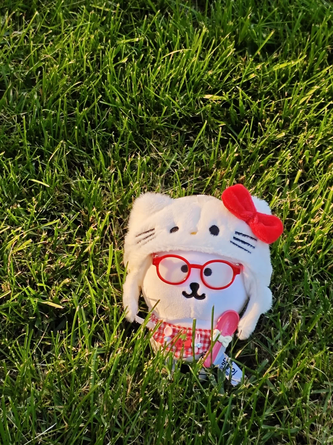 子超兄写真集