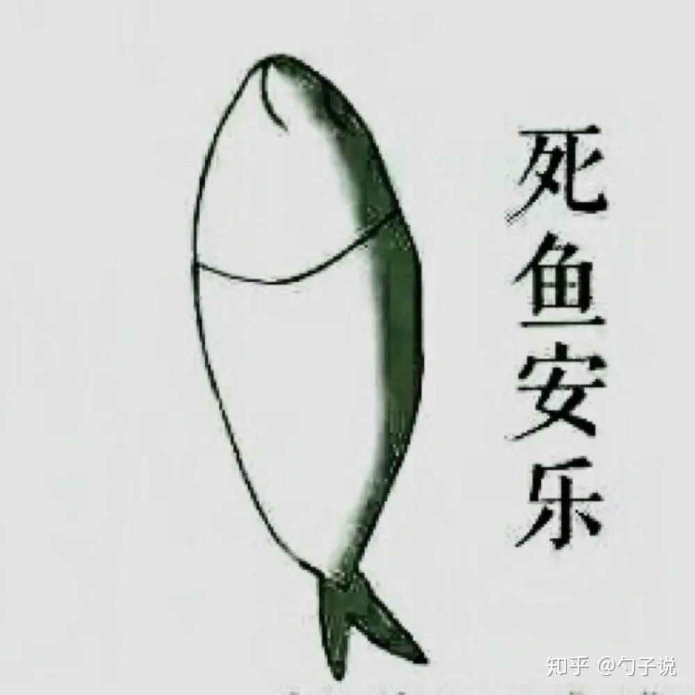 日常健身分享 让身体动起来！