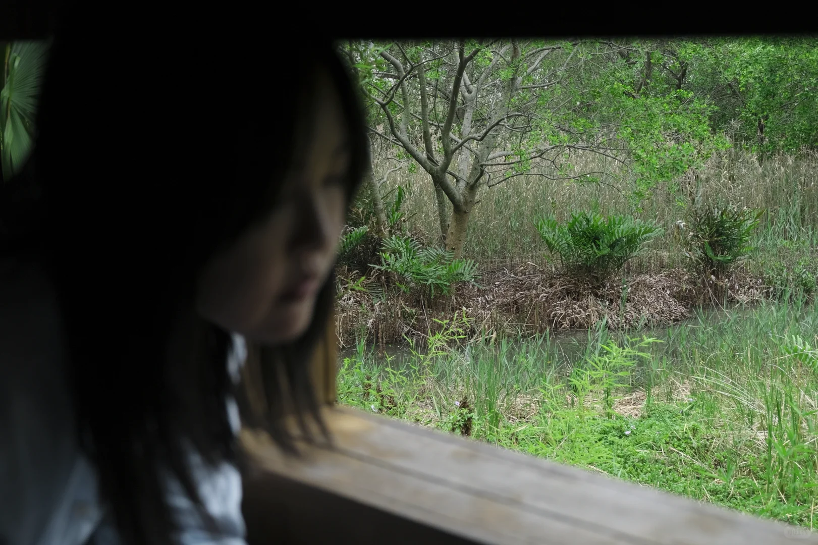 Intj双鱼女摄影：拍着拍着有种平静的疯感