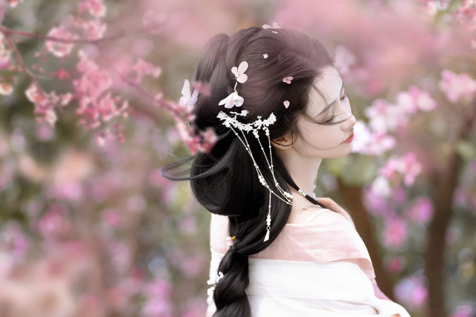 三月看花开
