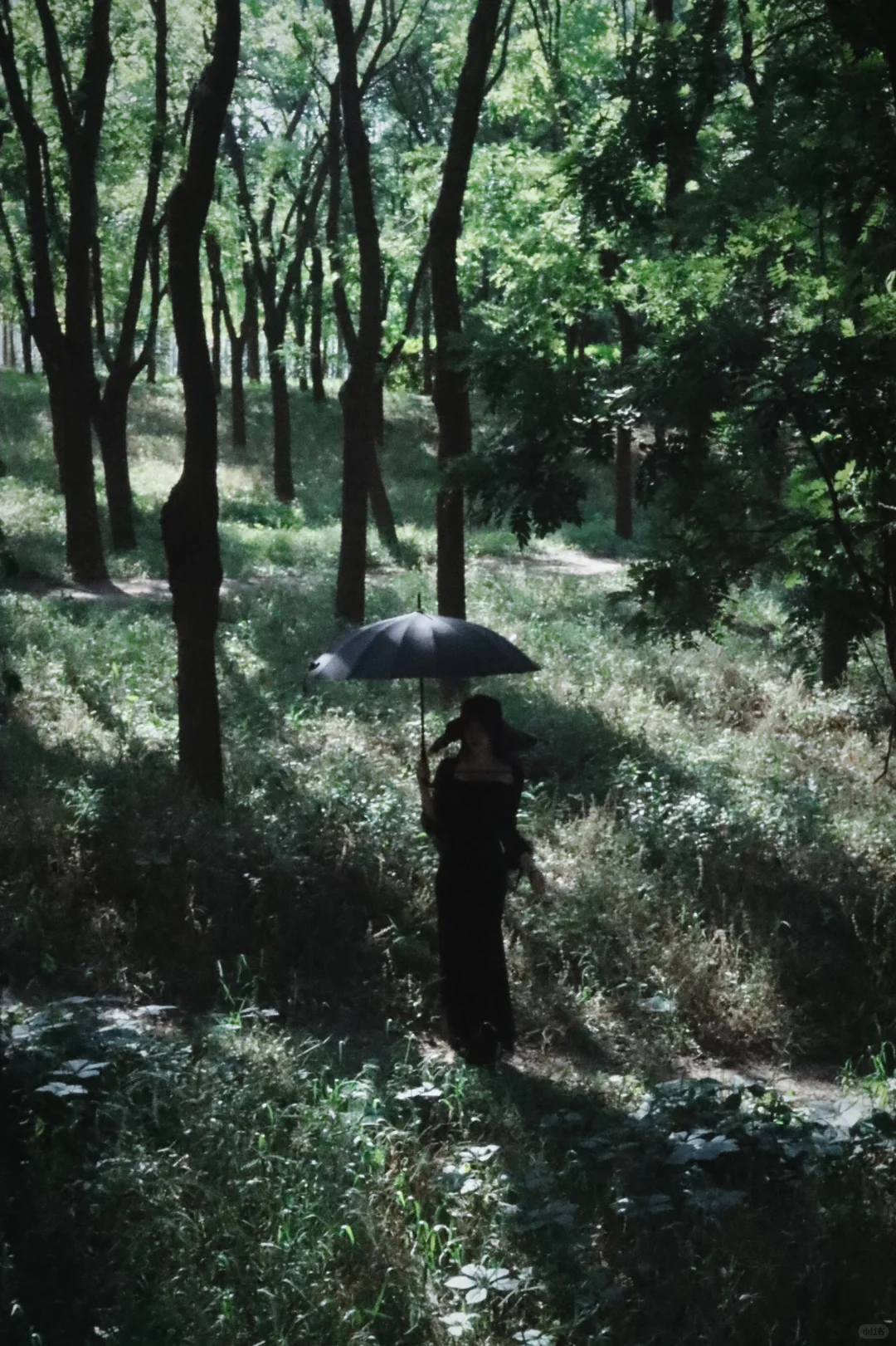 “而这次的线索只有四个字——雨中女郎。”