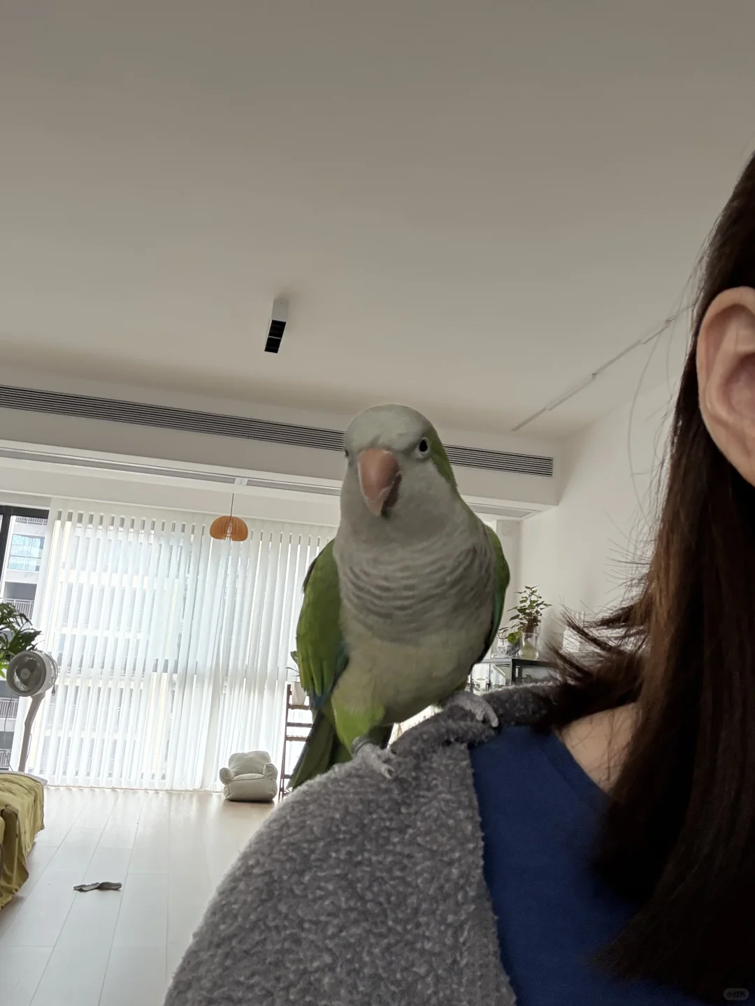162/50 简单好看的日常穿搭 休闲穿搭