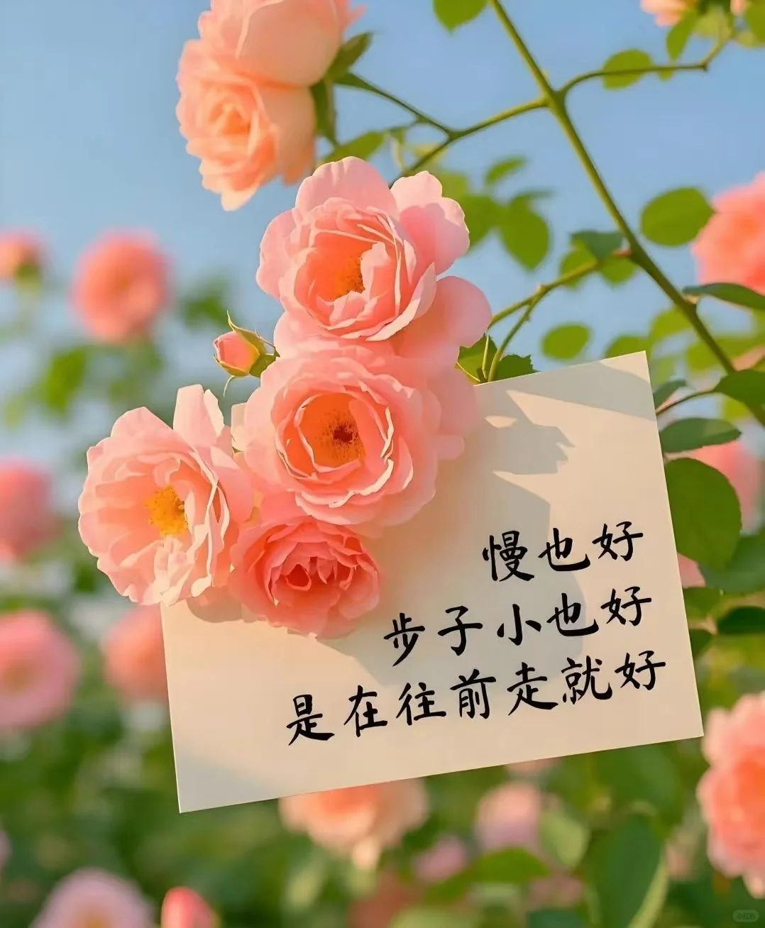 #同城#曲线部落