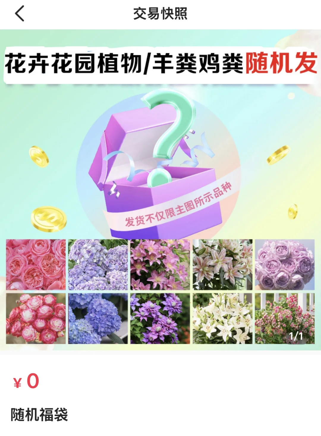 这个福袋发啥，天狼月季