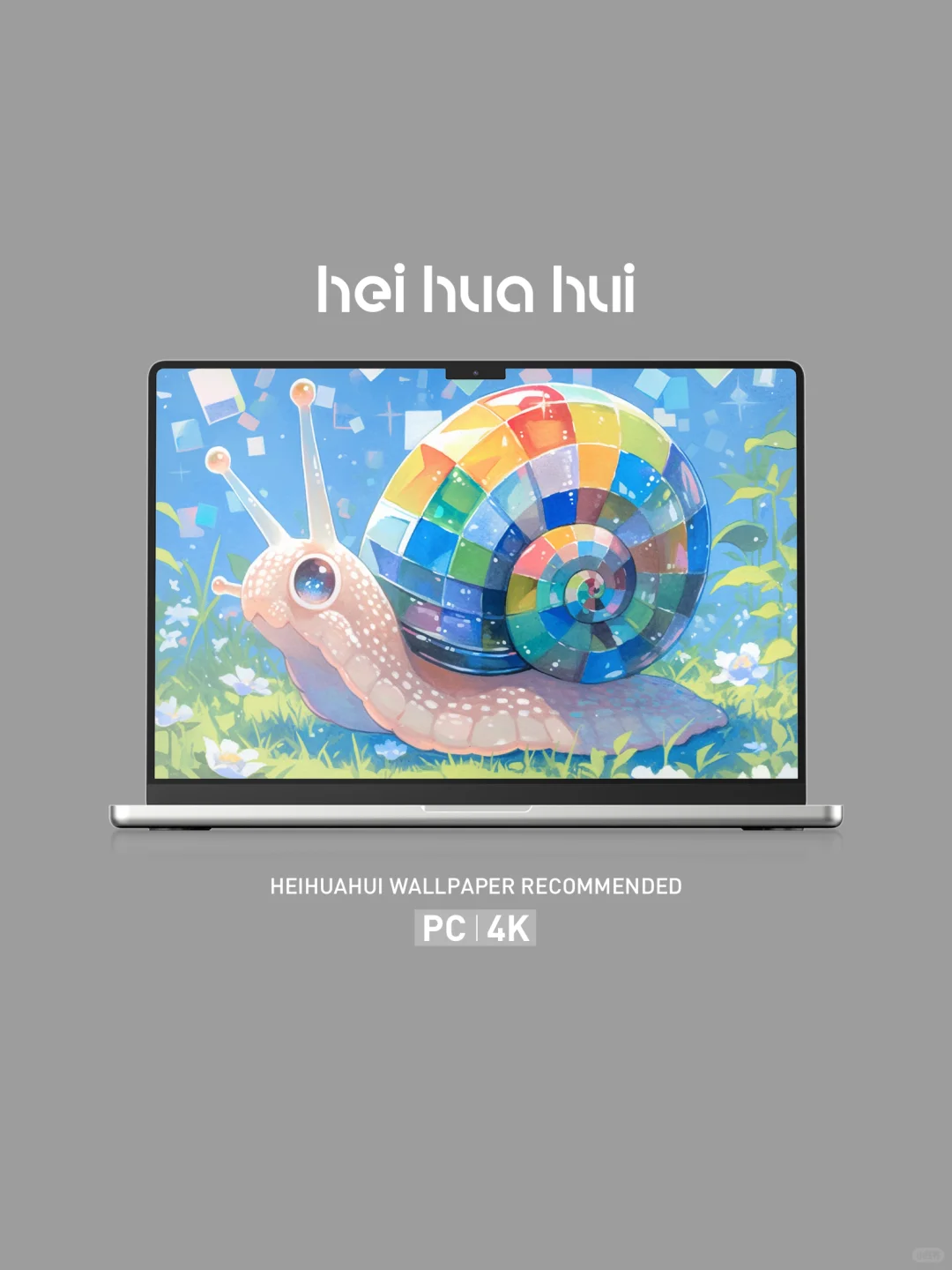 彩虹蜗牛丨iPad壁纸丨平板壁纸丨电脑壁纸