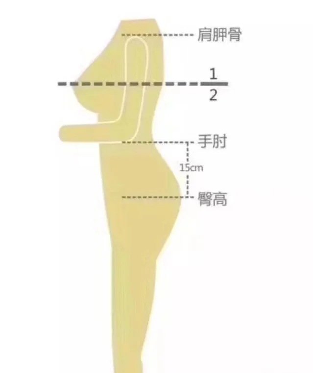 完美曲线比例自我检查