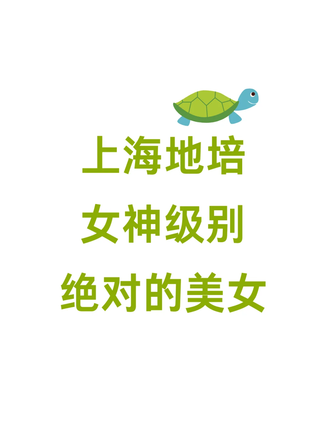 上海dd