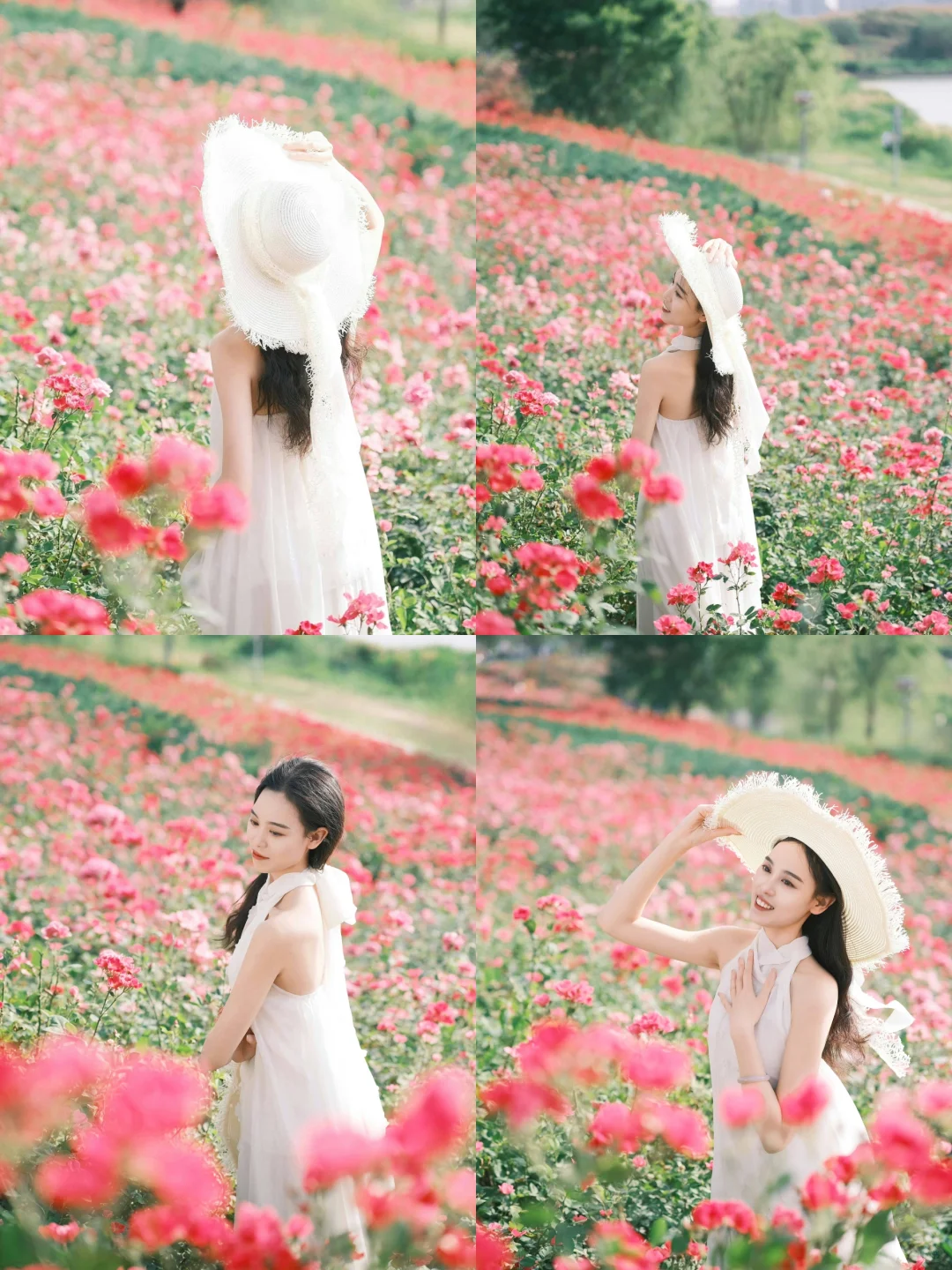 📷邯郸约拍｜发现一片无人的莫奈花园！