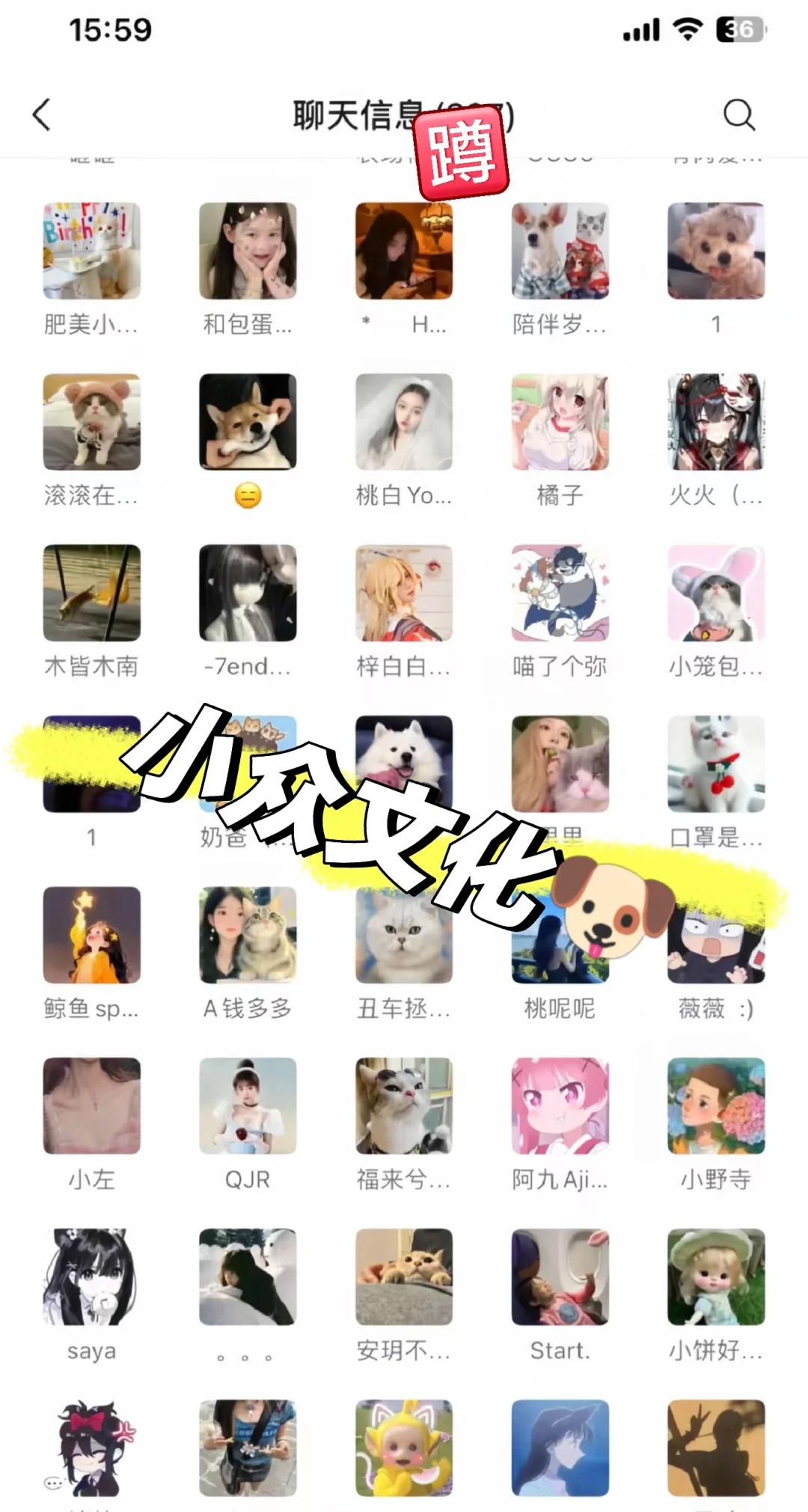 我不允许你们不知道这个圈