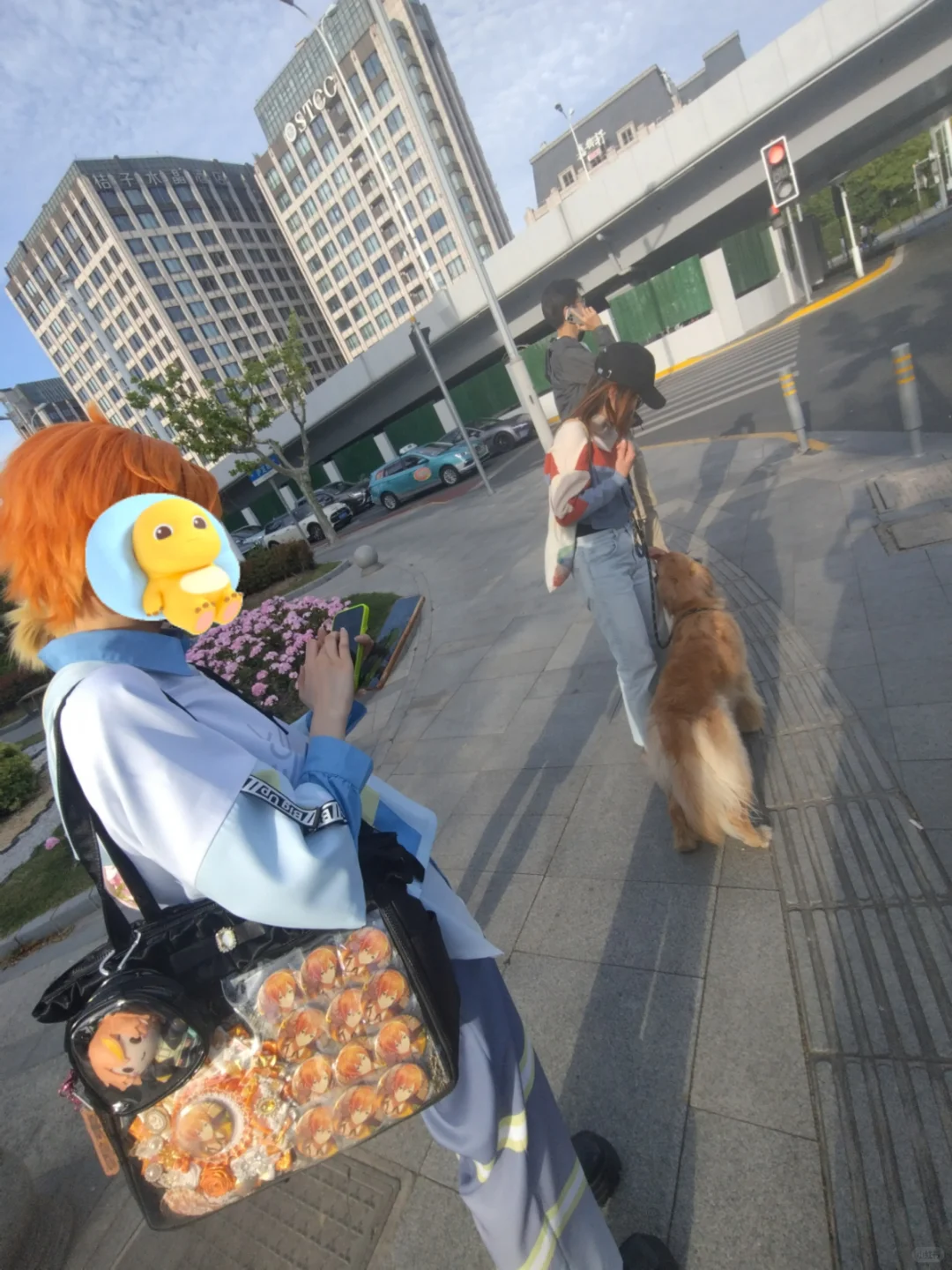 这个akt很招狗